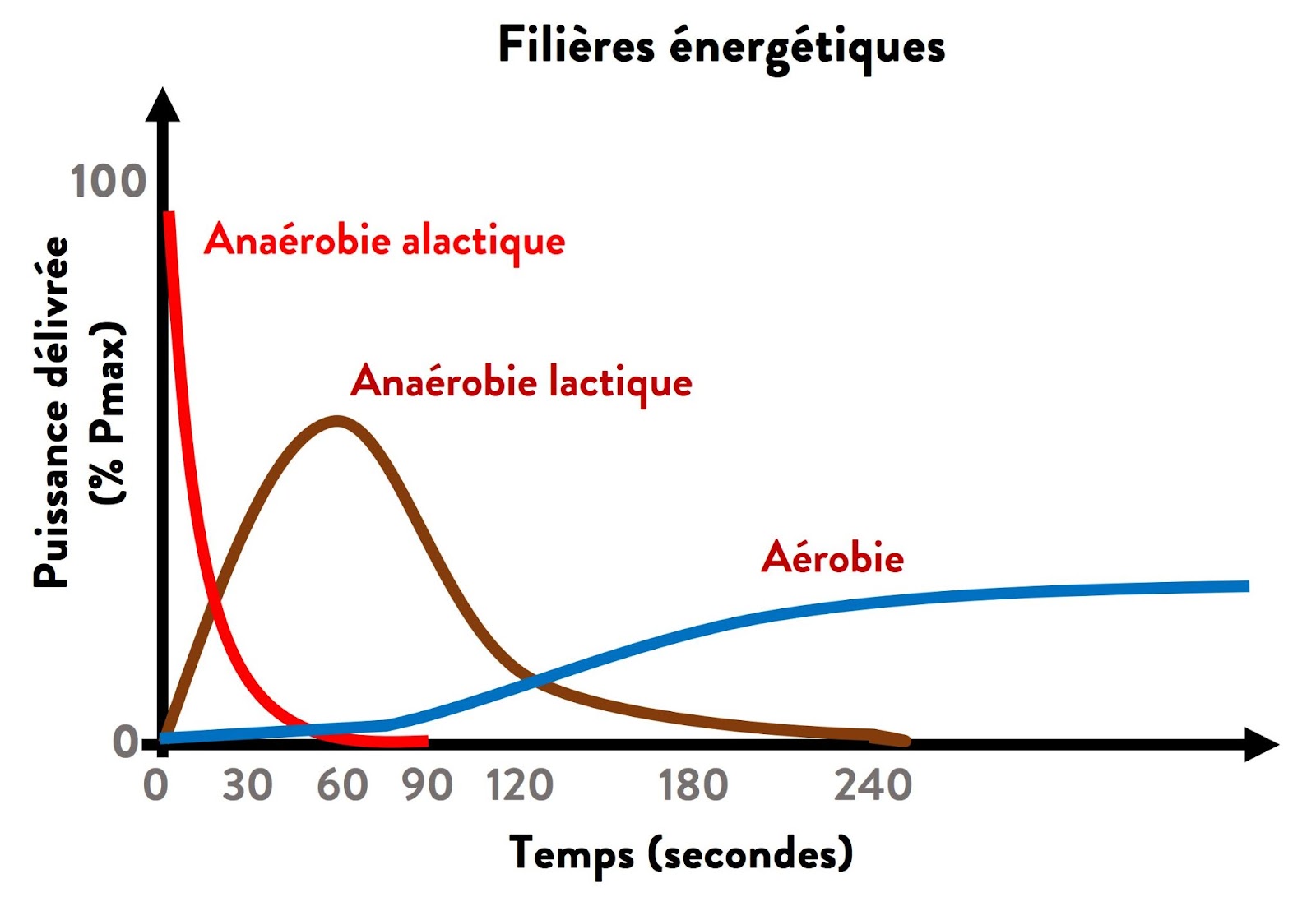 filière énergetiques